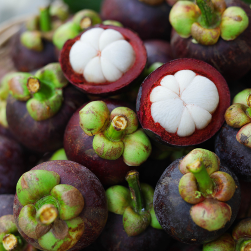 mangosteen